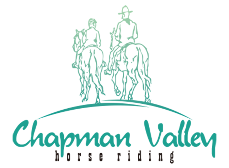 Chapman Valley Redesign
